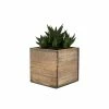 Coupon 😍 Modern Vase And Gift 24 PCS Natural Wooden Cube Plant Box With Plastic Liner 5 Inches Each Side ❤️