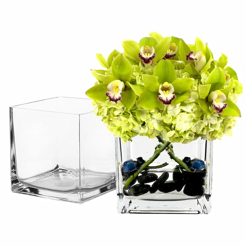 Best reviews of π₯ Modern Vase And Gift Pack Of 8 PCS Clear Glass Cube Vase Sides-6" π