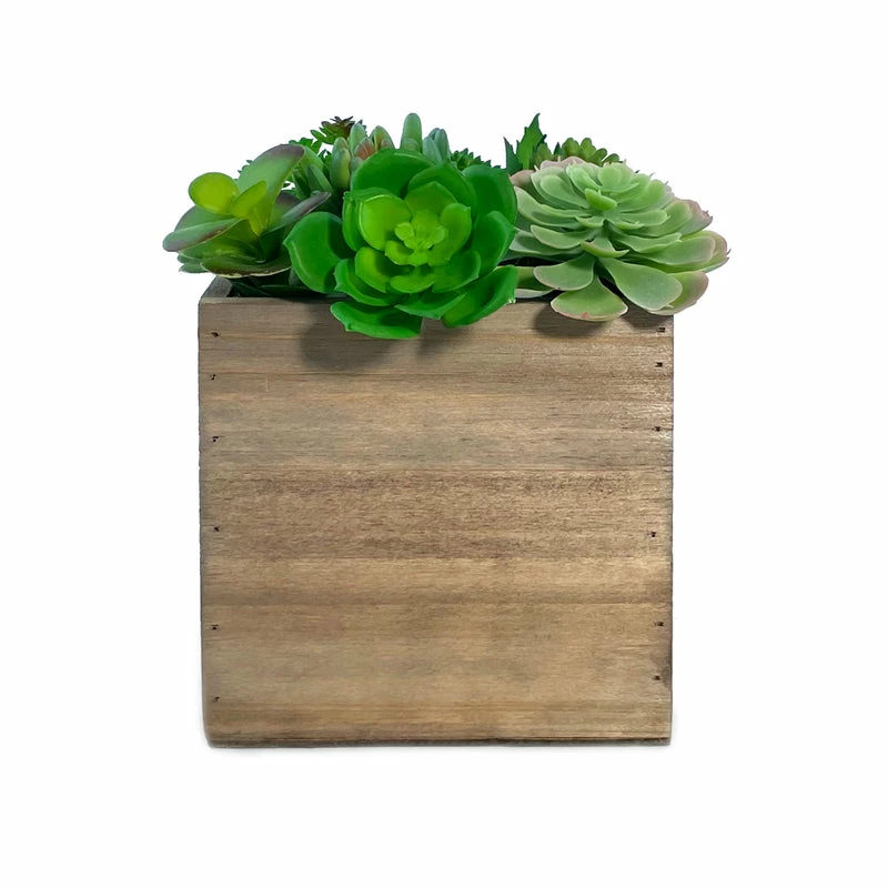 New π Modern Vase And Gift 12 PCS Natural Wooden Cube Plant Box With Plastic Liner 6 Inches Each Side π - Image 3