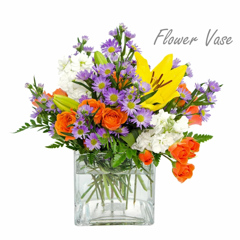 Best reviews of π₯ Modern Vase And Gift Pack Of 8 PCS Clear Glass Cube Vase Sides-6" π - Image 5
