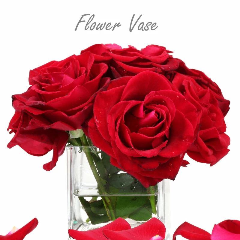 Best reviews of π₯ Modern Vase And Gift Pack Of 8 PCS Clear Glass Cube Vase Sides-6" π - Image 7