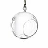 Hot Sale 🧨 Modern Vase And Gift 24 PCS Clear Glass Hanging Orbs D-5" H-5.5" ❤️