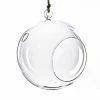 Promo ⭐ Modern Vase And Gift 8 PCS Clear Glass Hanging Orbs D-7" H-8" 🔥