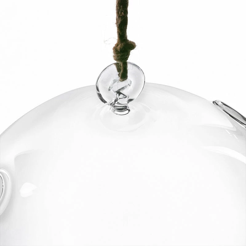 Coupon π₯ Modern Vase And Gift 6 PCS Pack Of 6 PCS Clear Glass Hanging Orbs D-8" H-9" π₯ - Image 6