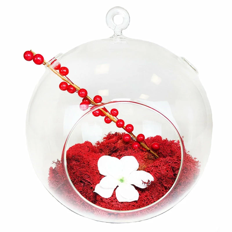 Coupon π₯ Modern Vase And Gift 6 PCS Pack Of 6 PCS Clear Glass Hanging Orbs D-8" H-9" π₯ - Image 3