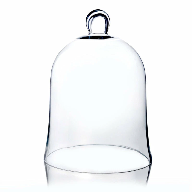 Cheapest π Modern Vase And Gift Pack Of 4 PCS Clear Glass Cloche Bell Jar D-8.5" H-12" β€οΈ