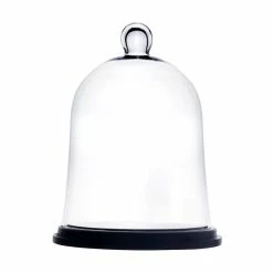 Top 10 🌟 Modern Vase And Gift Pack Of 4 PCS Clear Glass Cloche Bell Jar With Wood Base D-10" H-13" 🌟