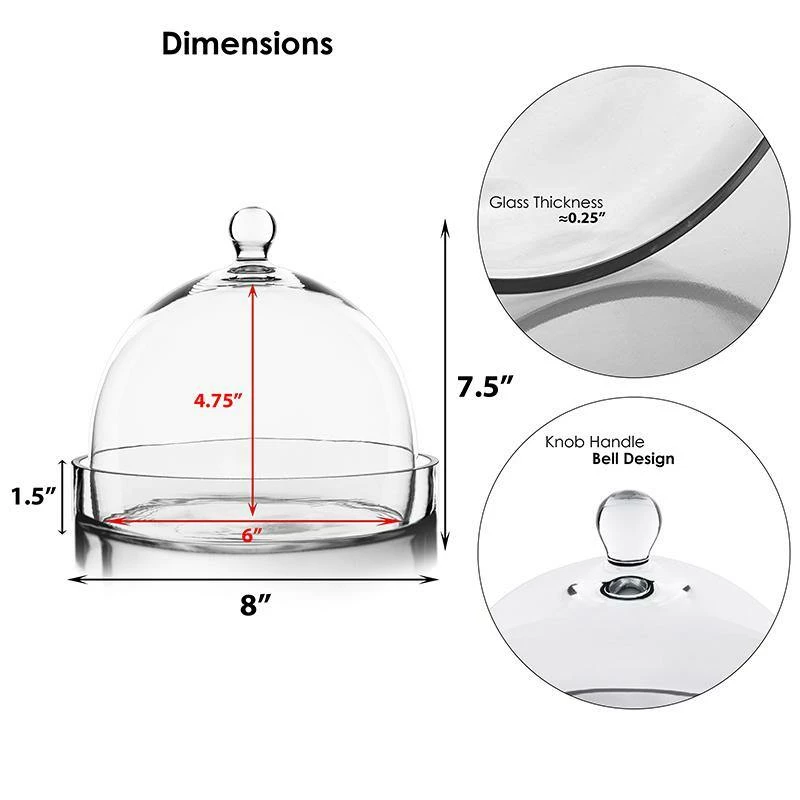 Coupon π Modern Vase And Gift Pack Of 2 PCS Clear Glass Cloche Bell Jar With Glass Plate D-8" H-7.5" π€© - Image 2