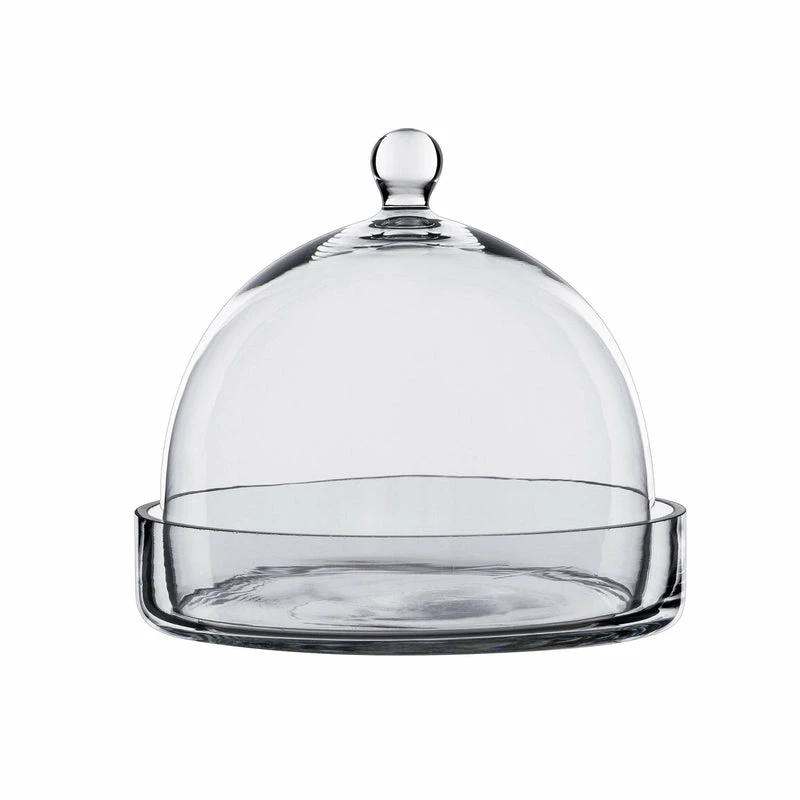 Coupon π Modern Vase And Gift Pack Of 2 PCS Clear Glass Cloche Bell Jar With Glass Plate D-8" H-7.5" π€©
