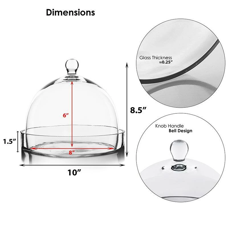 Best Pirce π₯° Modern Vase And Gift Pack Of 2 PCS Clear Glass Cloche Bell Jar With Glass Plate D-10" H-8.5" β¨ - Image 2