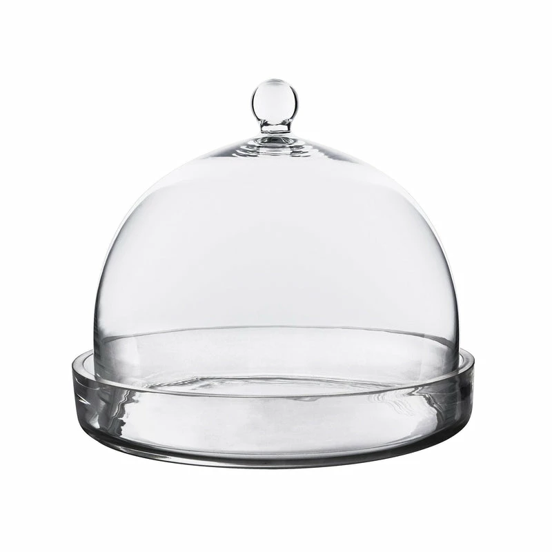 Best Pirce π₯° Modern Vase And Gift Pack Of 2 PCS Clear Glass Cloche Bell Jar With Glass Plate D-10" H-8.5" β¨