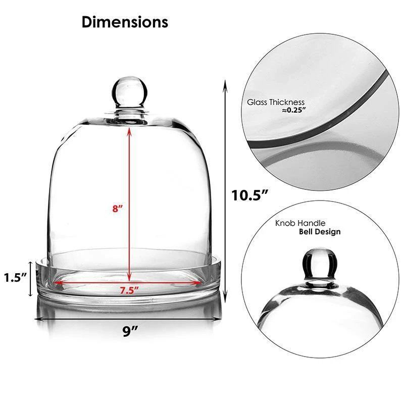 Best deal βοΈ Modern Vase And Gift Pack Of 2 PCS Clear Glass Cloche Bell Jar With Glass Plate D-8.75" H-11" β - Image 2