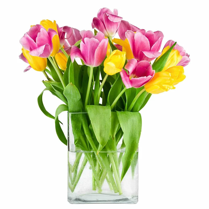 New 𧨠Modern Vase And Gift Pack Of 12 PCS Clear Glass Thin Oval Round Rectangle Vase O-7"X1.75" H-10" π