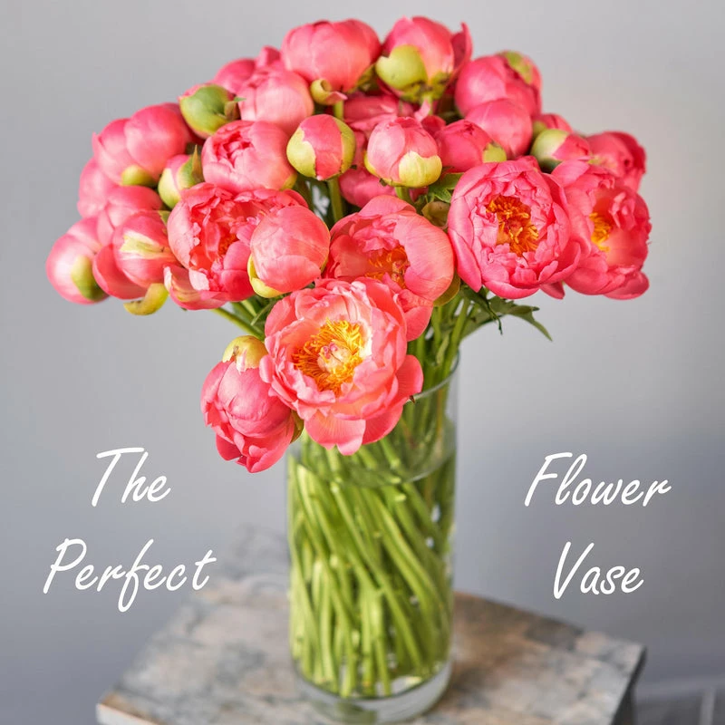 Discount β¨ Modern Vase And Gift Pack Of 4 PCS Clear Glass Cylinder Vase D-6" H-16" π₯° - Image 4