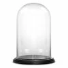 Cheapest 💯 Modern Vase And Gift Pack Of 1 PC Clear Glass Cloche Dome With Black Wood Base D-11" H-16" 🎉
