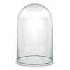 Buy ⌛ Modern Vase And Gift Pack Of 1 PC Clear Glass Cloche Dome D-10" H-15" 🛒