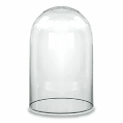 Buy ⌛ Modern Vase And Gift Pack Of 1 PC Clear Glass Cloche Dome D-10" H-15" 🛒