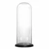 Buy 😍 Modern Vase And Gift Pack Of 1 PC Clear Glass Cloche Dome With Black Wood Base D-11" H-24.5" 🔥