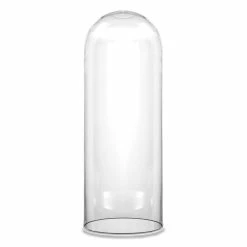 Cheapest 😍 Modern Vase And Gift Pack Of 1 PC Clear Glass Cloche Dome D-10" H-24" 😍