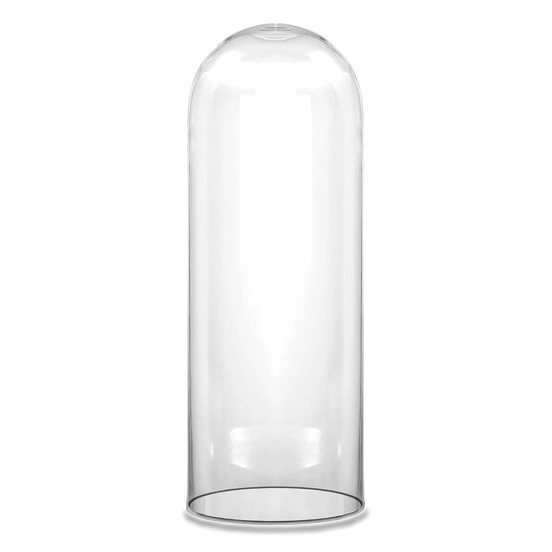 Cheapest π Modern Vase And Gift Pack Of 1 PC Clear Glass Cloche Dome D-10" H-24" π