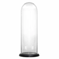 Best Sale 🧨 Modern Vase And Gift Pack Of 1 PC Clear Glass Cloche Dome With Black Wood Base D-11" H-28.5" 🥰