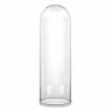 Promo 🔔 Modern Vase And Gift Pack Of 1 PC Clear Glass Cloche Dome D-10" H-28" 🔥