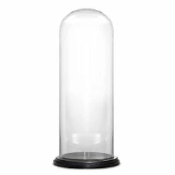 Wholesale π― Modern Vase And Gift Pack Of 1 PC Clear Glass Cloche Dome With Black Wood Base D-13" H-29" β