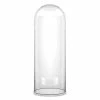 Wholesale 🤩 Modern Vase And Gift Pack Of 1 PC Clear Glass Cloche Dome D-12" H-28" ✨