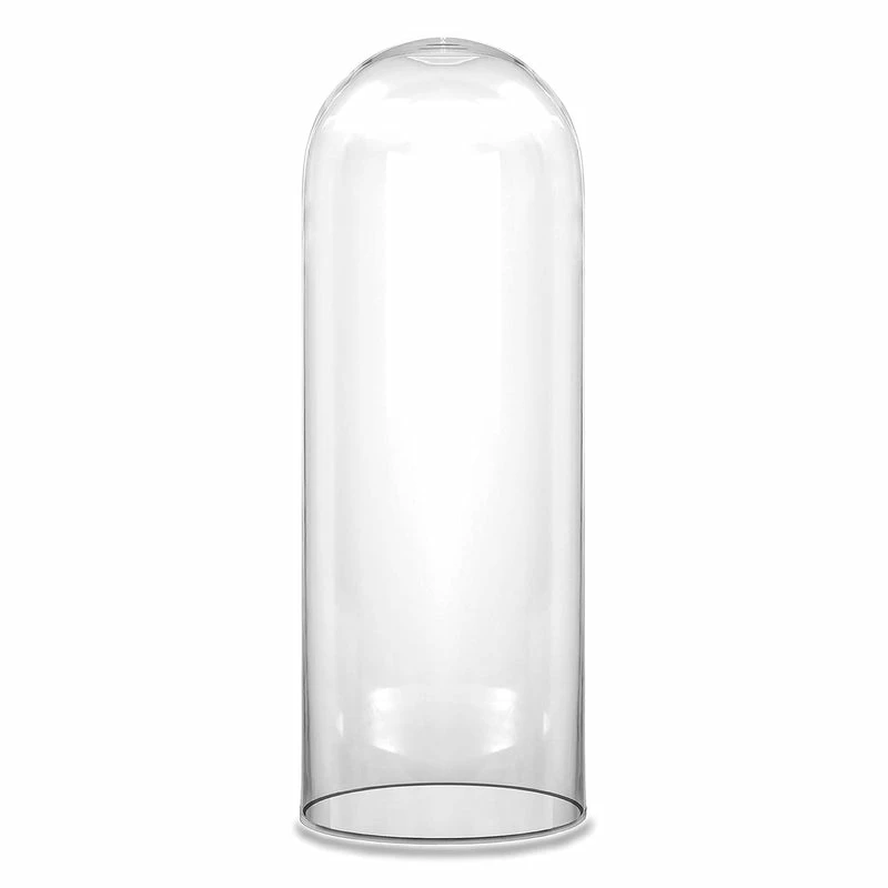 Wholesale π€© Modern Vase And Gift Pack Of 1 PC Clear Glass Cloche Dome D-12" H-28" β¨