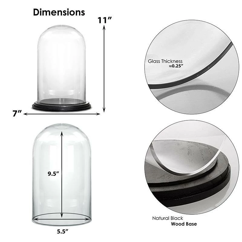 Best Sale β¨ Modern Vase And Gift Pack Of 4 PC Clear Glass Cloche Dome With Black Wood Base D-7" H-11" π - Image 2