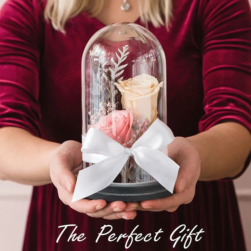 Best Sale β¨ Modern Vase And Gift Pack Of 4 PC Clear Glass Cloche Dome With Black Wood Base D-7" H-11" π - Image 3