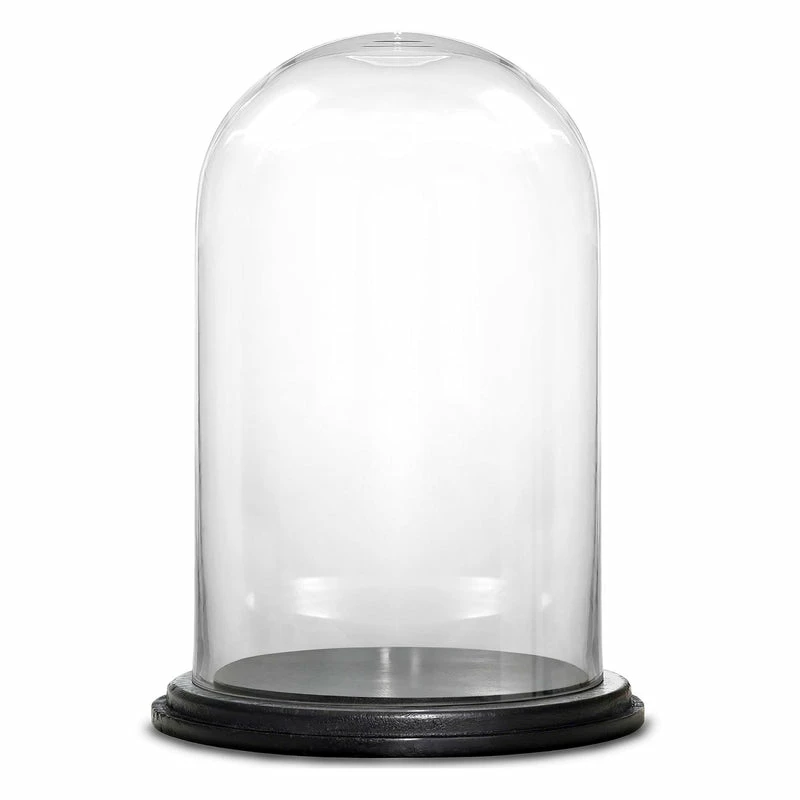 Best Sale β¨ Modern Vase And Gift Pack Of 4 PC Clear Glass Cloche Dome With Black Wood Base D-7" H-11" π