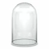 Deals 💯 Modern Vase And Gift Pack Of 8 PCS Clear Glass Cloche Dome D-6" H-10.5" 🧨