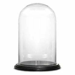 Buy 😀 Modern Vase And Gift Pack Of 2 PC Clear Glass Cloche Dome With Black Wood Base D-9.5" H-15" 🧨