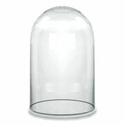 Coupon β¨ Modern Vase And Gift Pack Of 4 PC Clear Glass Cloche Dome D-8" H-14" π