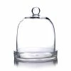 Best deal ✔️ Modern Vase And Gift Pack Of 2 PCS Clear Glass Cloche Bell Jar With Glass Plate D-8.75" H-11" ⭐