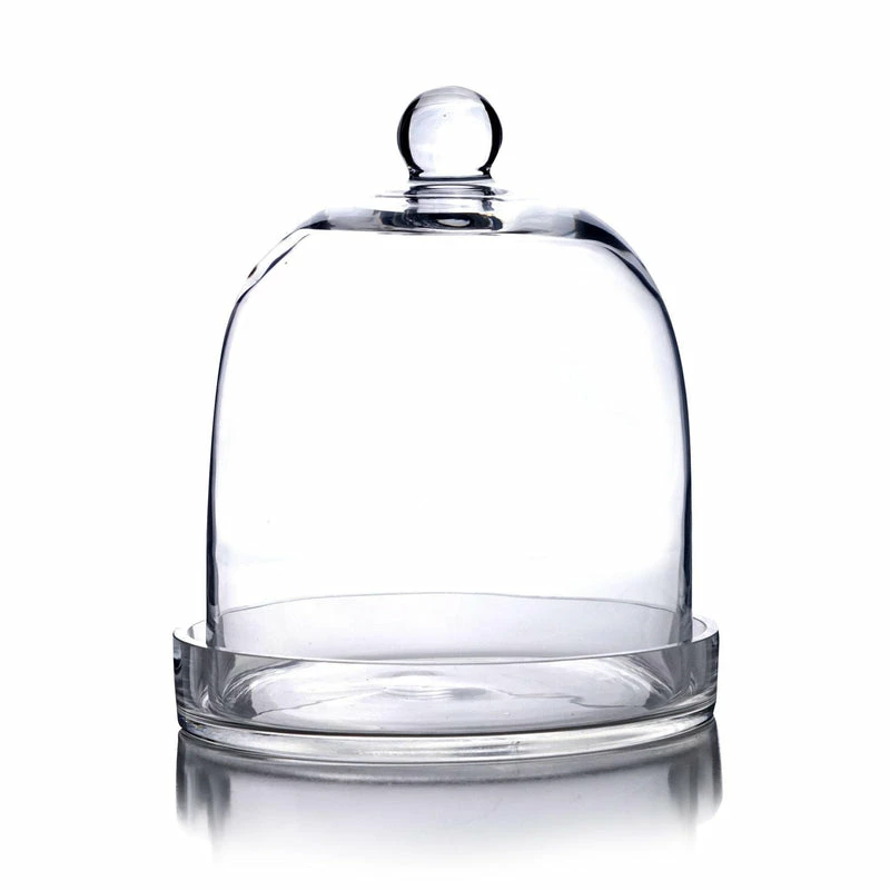 Best deal βοΈ Modern Vase And Gift Pack Of 2 PCS Clear Glass Cloche Bell Jar With Glass Plate D-8.75" H-11" β