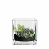 Buy 🧨 Modern Vase And Gift Pack Of 12 PCS Clear Glass Cube Vase Sides-4" 💯