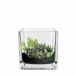 Buy 🧨 Modern Vase And Gift Pack Of 12 PCS Clear Glass Cube Vase Sides-4" 💯