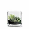 Best Pirce ⌛ Modern Vase And Gift 6 PCS Clear Glass Cube Vase Sides-4.75" 🥰