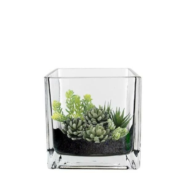 Best Pirce β Modern Vase And Gift 6 PCS Clear Glass Cube Vase Sides-4.75" π₯°