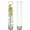 Top 10 😍 Modern Vase And Gift Pack Of 6 PCS Clear Glass Cylinder Vase D-4" H-24" 🧨