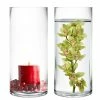 Best Pirce ⭐ Modern Vase And Gift Pack Of 12 PCS Clear Glass Cylinder Vase D-4" H-9" ⌛