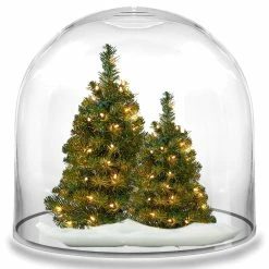 Top 10 β¨ Modern Vase And Gift Pack Of 1 PC Clear Glass Cloche Dome D-10" H-10" π