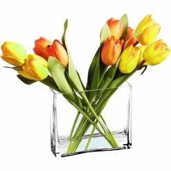 Top 10 ⌛ Modern Vase And Gift Pack Of 6 PCS Clear Glass Rectangle Vase O-8"X2.4" H-8" 👏