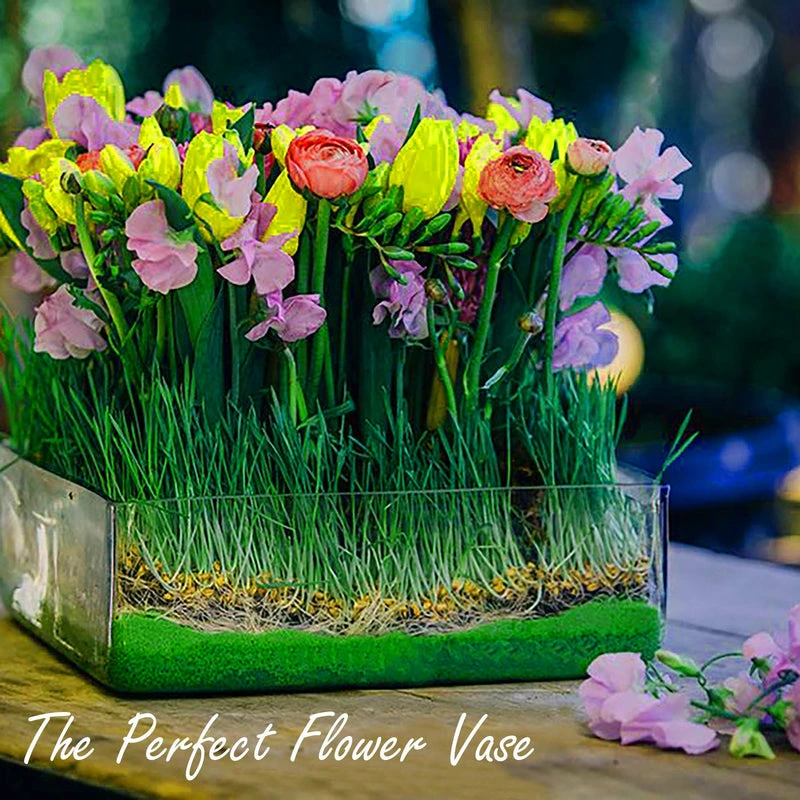 Best Pirce β Modern Vase And Gift Pack Of 6 PCS Clear Glass Rectangle Vase O-9"X7" H-4" π€© - Image 3