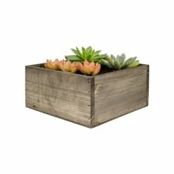 Top 10 🧨 Modern Vase And Gift 12 PCS Natural Wooden Square Plant Box With Plastic Liner O-8" H-4" 🎉