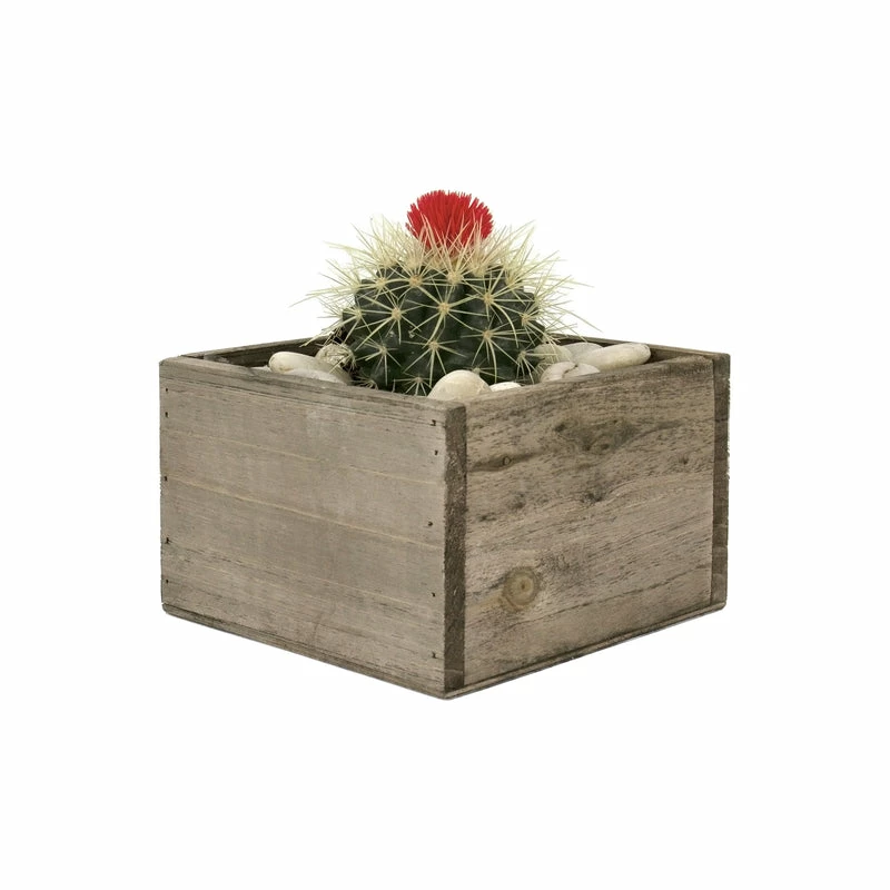 Best reviews of π Modern Vase And Gift 24 PCS Natural Wooden Square Plant Box With Plastic Liner O-6" H-4" π₯° - Image 2
