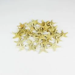 Coupon 👍 Modern Vase And Gift Natural Vase Filler Star Fish Knobby D-1"-2" - Pack Of 120 PCS 🎉