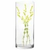 Brand new 🛒 Modern Vase And Gift Pack Of 2 PCS Clear Glass Cylinder Vase D-10" H-24" 😍